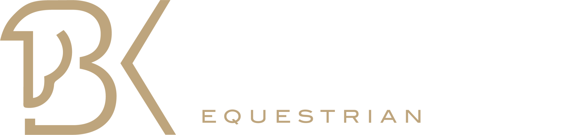 Logo Benedict Koopmans